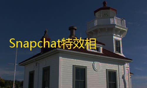 dy赞24小时下单平台退款Snapchat特效相机